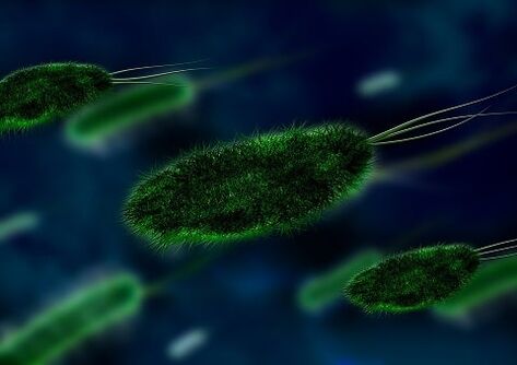 η αιτία της γαστρίτιδας είναι ένα βακτήριο - Helicobacter